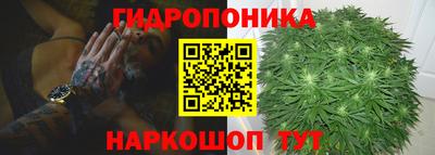 стаф Лесосибирск