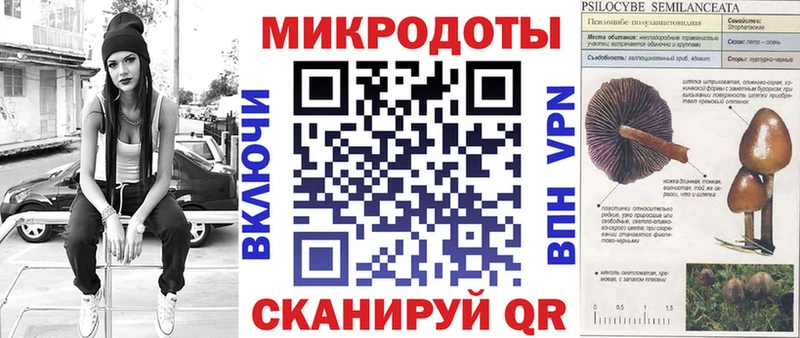 Галлюциногенные грибы Psilocybine cubensis  наркошоп  Бийск 
