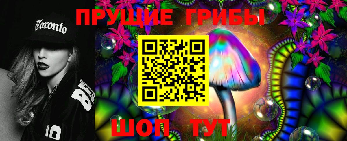Бийск  Галлюциногенные грибы Psilocybe  Вход с VPN 