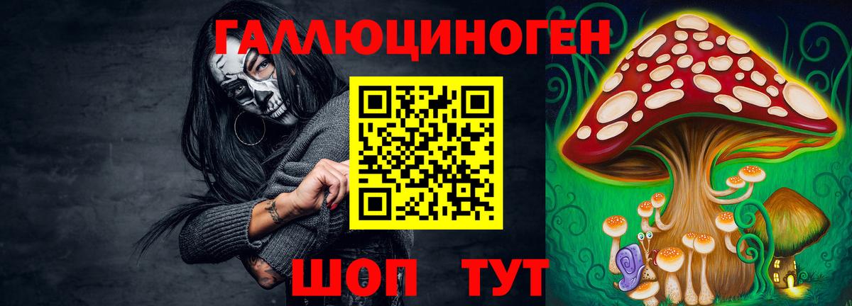 Галлюциногенные грибы Psilocybine cubensis Бийск